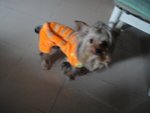 DSC01810