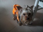 DSC01818
