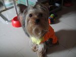 DSC01821