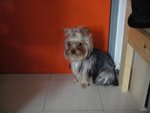 DSC03125