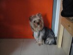 DSC03126