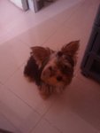 IMAG0334