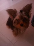 IMAG0335