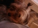 IMAG0337