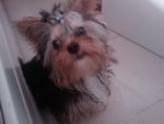 IMAG0368