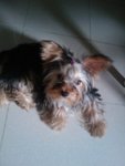 IMAG0378