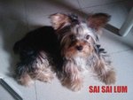 IMAG0379000