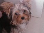 IMAG0446