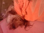 IMAG0607