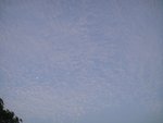 DSC04351