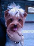 IMAG0661
