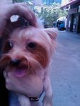 IMAG0665