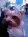 IMAG0666