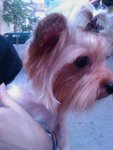 IMAG0669