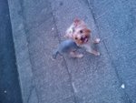 IMAG0671