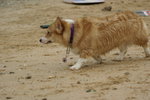 DSC01340