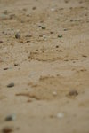 DSC01355