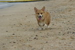 DSC01402