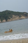 DSC01416