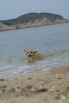 DSC01417