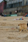 DSC01440