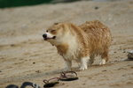 DSC01447