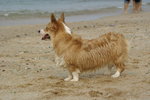 DSC01461