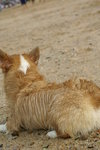 DSC01491