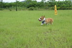 DSC01505