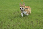 DSC01506