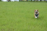 DSC01507