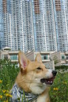 DSC01573
