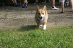DSC01690