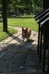 DSC01691