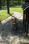 DSC01692