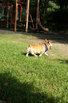 DSC01700