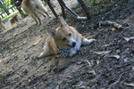 DSC01704