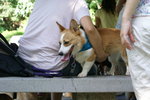 DSC01713