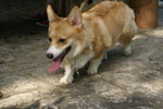 DSC01716
