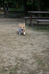 DSC01719