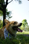 DSC01722