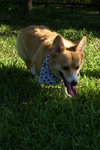 DSC01725
