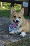 DSC01731