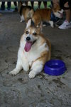 DSC01750