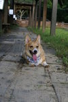 DSC01761