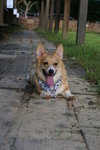 DSC01762