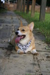 DSC01763