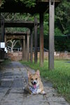 DSC01765