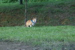 DSC01769