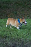 DSC01771